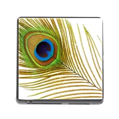 Peacock Feather Plumage Colorful Memory Card Reader (square 5 Slot) by Sapixe