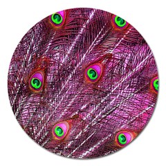 Peacock Feathers Color Plumage Magnet 5  (round)