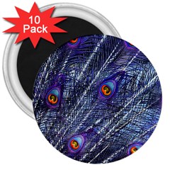 Peacock Feathers Color Plumage Blue 3  Magnets (10 Pack)  by Sapixe