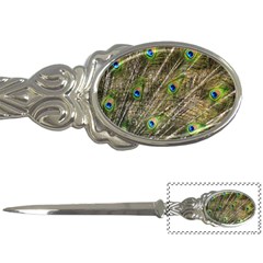 Peacock Feathers Color Plumage Green Letter Opener by Sapixe