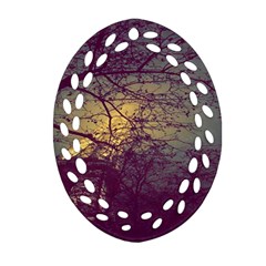 Tour Eiffel Paris Photo Ornament (oval Filigree) by kcreatif