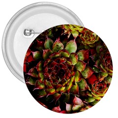 Plant Succulents Succulent 3  Buttons by Wegoenart