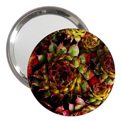 Plant Succulents Succulent 3  Handbag Mirrors by Wegoenart