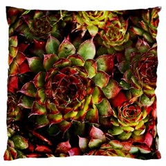 Plant Succulents Succulent Standard Flano Cushion Case (two Sides) by Wegoenart