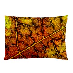 Autumn Leaves Forest Fall Color Pillow Case by Wegoenart