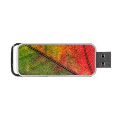 Fall Foliage Color Leaf Veins Portable Usb Flash (one Side) by Wegoenart