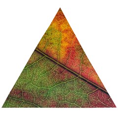 Fall Foliage Color Leaf Veins Wooden Puzzle Triangle by Wegoenart