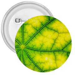 Photosynthesis Leaf Green Structure 3  Buttons by Wegoenart