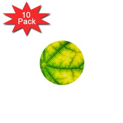 Photosynthesis Leaf Green Structure 1  Mini Buttons (10 Pack)  by Wegoenart