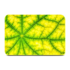 Photosynthesis Leaf Green Structure Plate Mats by Wegoenart