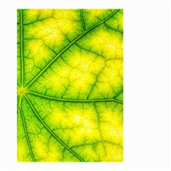Photosynthesis Leaf Green Structure Small Garden Flag (two Sides) by Wegoenart