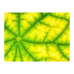 Photosynthesis Leaf Green Structure Double Sided Flano Blanket (mini)  by Wegoenart