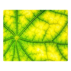 Photosynthesis Leaf Green Structure Double Sided Flano Blanket (large)  by Wegoenart