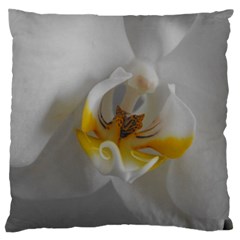 Orchidée Blanche Fleur Large Cushion Case (one Side) by kcreatif