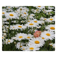 Champs De Marguerites Double Sided Flano Blanket (small)  by kcreatif