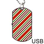 Christmas Color Stripes Dog Tag USB Flash (Two Sides) Front