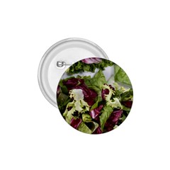 Salad Lettuce Vegetable 1 75  Buttons by Sapixe