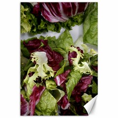 Salad Lettuce Vegetable Canvas 12  X 18  by Sapixe