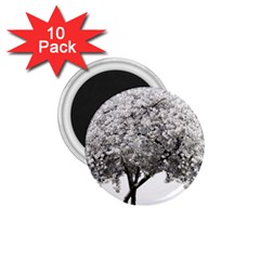 Nature Tree Blossom Bloom Cherry 1 75  Magnets (10 Pack)  by Sapixe