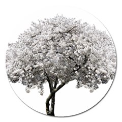 Nature Tree Blossom Bloom Cherry Magnet 5  (round) by Sapixe