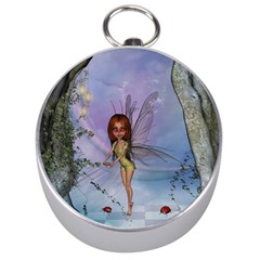 Cute Ittle Fairy With Ladybug Silver Compasses by FantasyWorld7