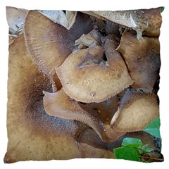 Close Up Mushroom Abstract Large Flano Cushion Case (two Sides)