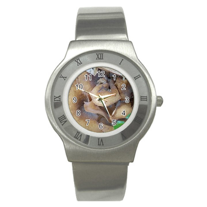 Close Up Mushroom Abstract Stainless Steel Watch