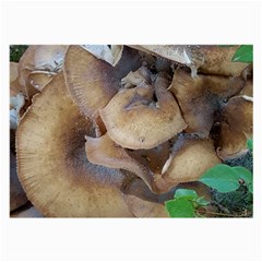 Close Up Mushroom Abstract Large Glasses Cloth (2 Sides) by Fractalsandkaleidoscopes