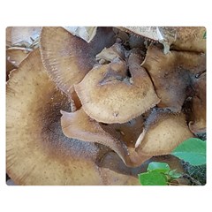 Close Up Mushroom Abstract Double Sided Flano Blanket (medium)  by Fractalsandkaleidoscopes