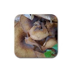 Close Up Mushroom Abstract Rubber Square Coaster (4 Pack)  by Fractalsandkaleidoscopes