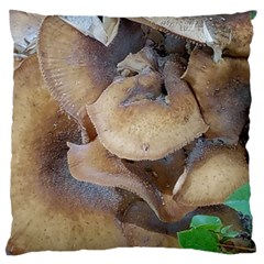 Close Up Mushroom Abstract Large Flano Cushion Case (one Side)