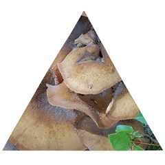 Close Up Mushroom Abstract Wooden Puzzle Triangle by Fractalsandkaleidoscopes