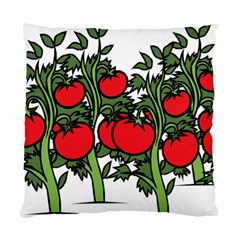 Tomato Garden Vine Plants Red Standard Cushion Case (two Sides) by HermanTelo