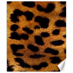 Leopard Skin Pattern Background Canvas 8  X 10  by Vaneshart