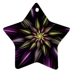 Fractal Flower Floral Abstract Star Ornament (two Sides) by HermanTelo