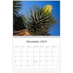 Joshua Tree Wall Calendar 11 x 8.5 (12-Months) Dec 2024