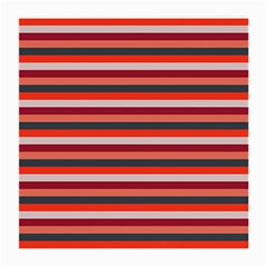 Stripey 13 Medium Glasses Cloth (2 Sides) by anthromahe