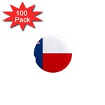 Flag of Sokol 1  Mini Magnets (100 pack)  Front