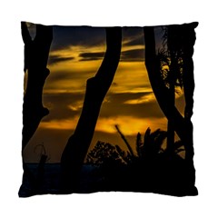 Silhouette Sunset Landscape Scene, Montevideo   Uruguay Standard Cushion Case (two Sides) by dflcprints