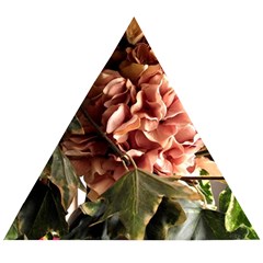 Begonia 1 1 Wooden Puzzle Triangle