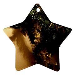 Christmas Tree  1 17 Star Ornament (two Sides) by bestdesignintheworld