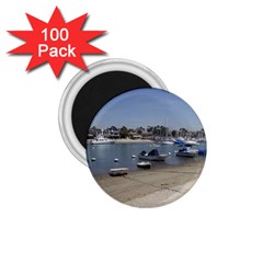 Balboa 1 3 1 75  Magnets (100 Pack) 