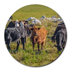 Cows At Countryside, Maldonado Department, Uruguay Round Mousepads by dflcprints