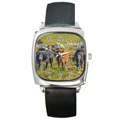 Cows At Countryside, Maldonado Department, Uruguay Square Metal Watch by dflcprints