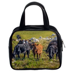 Cows At Countryside, Maldonado Department, Uruguay Classic Handbag (two Sides) by dflcprints
