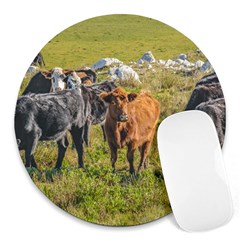 Cows At Countryside, Maldonado Department, Uruguay Round Mousepads by dflcprints