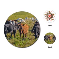 Cows At Countryside, Maldonado Department, Uruguay Playing Cards Single Design (round) by dflcprints