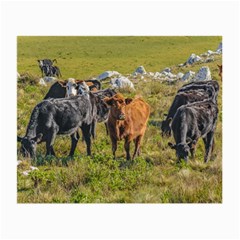 Cows At Countryside, Maldonado Department, Uruguay Small Glasses Cloth (2 Sides) by dflcprints