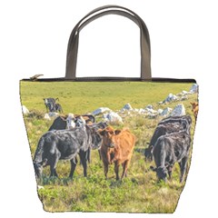 Cows At Countryside, Maldonado Department, Uruguay Bucket Bag by dflcprints