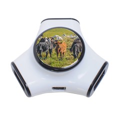 Cows At Countryside, Maldonado Department, Uruguay 3-port Usb Hub by dflcprints